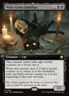 Nine-Lives Familiar Foundations Bordless